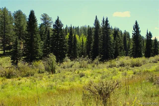 Address Not Shown Divide, CO 80814