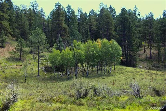 Address Not Shown Divide, CO 80814
