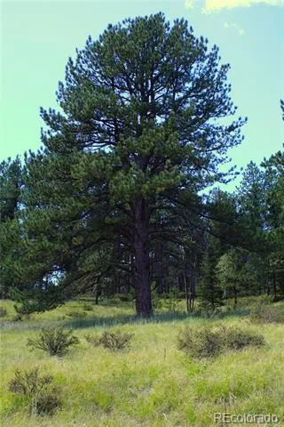 Address Not Shown Divide, CO 80814