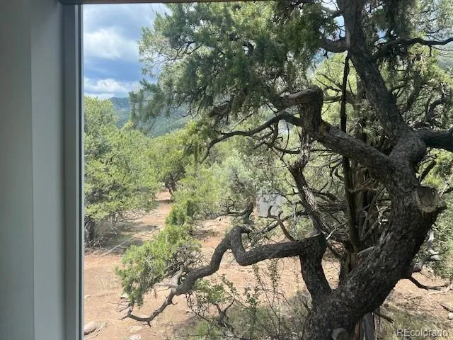 3580 Alfresco Way Crestone, CO 81131