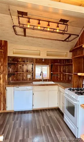 410 E 5th Street Leadville, CO 80461