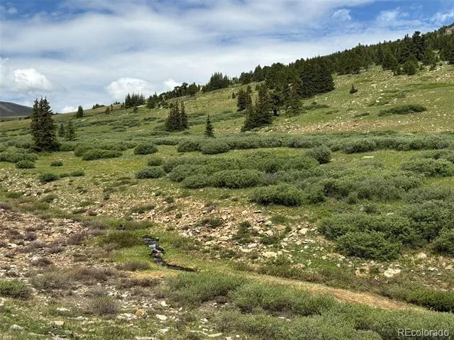 00 Alvin, Silver Cave, Little Ida Fairplay, CO 80440