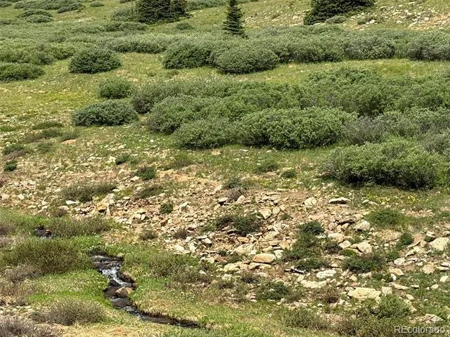 00 Alvin, Silver Cave, Little Ida Fairplay, CO 80440