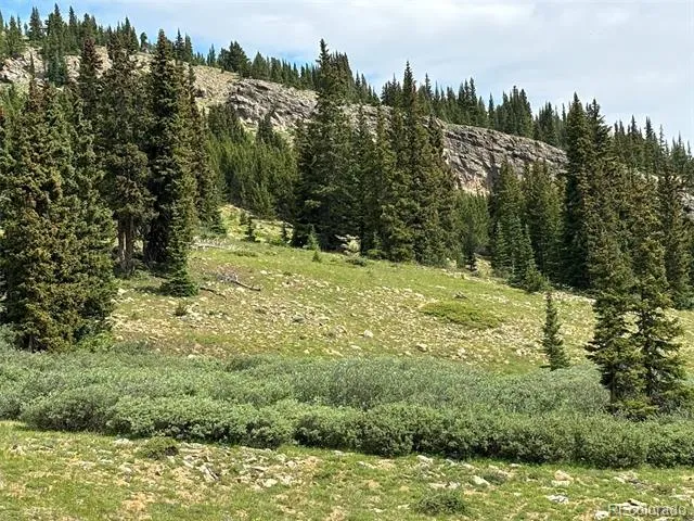 00 Alvin, Silver Cave, Little Ida Fairplay, CO 80440