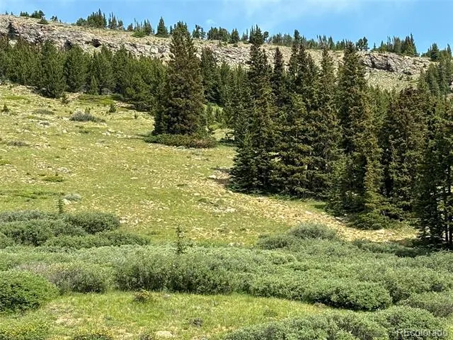 00 Alvin, Silver Cave, Little Ida Fairplay, CO 80440