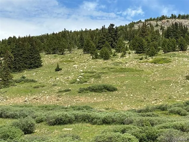 00 Alvin, Silver Cave, Little Ida Fairplay, CO 80440