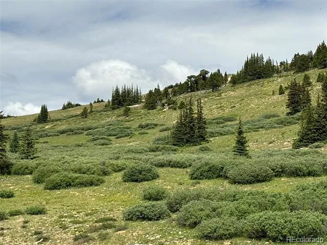 00 Alvin, Silver Cave, Little Ida Fairplay, CO 80440
