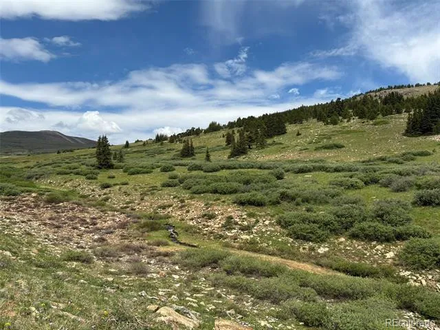 00 Alvin, Silver Cave, Little Ida Fairplay, CO 80440