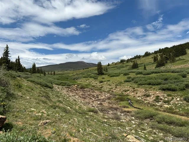 00 Alvin, Silver Cave, Little Ida Fairplay, CO 80440