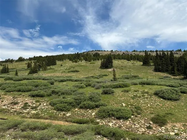 00 Alvin, Silver Cave, Little Ida Fairplay, CO 80440