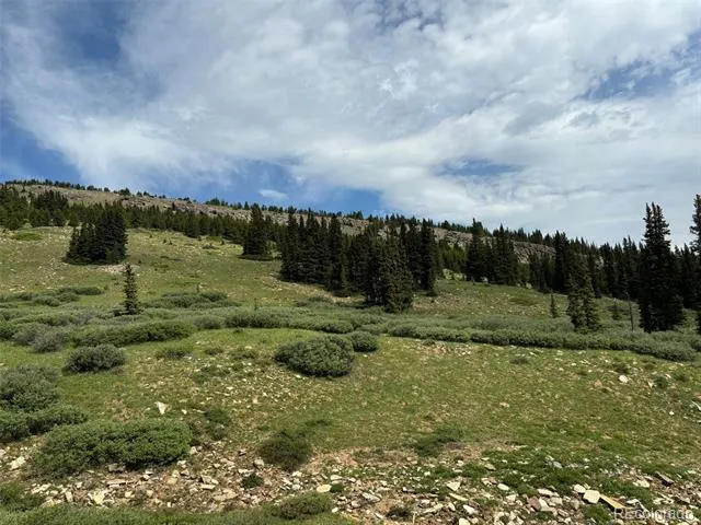 00 Alvin, Silver Cave, Little Ida Fairplay, CO 80440