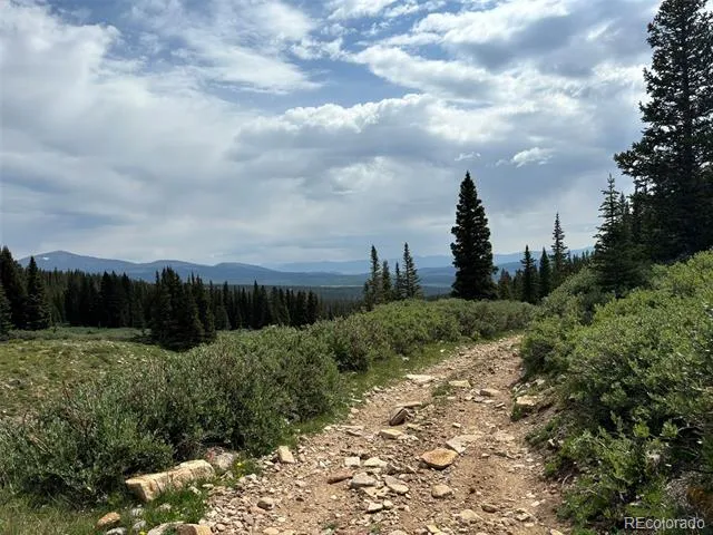 00 Alvin, Silver Cave, Little Ida Fairplay, CO 80440
