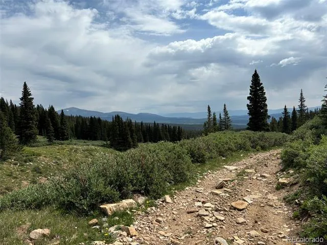 00 Alvin, Silver Cave, Little Ida Fairplay, CO 80440
