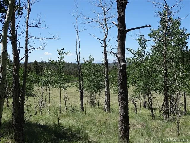 782 Bowstring Road Como, CO 80432