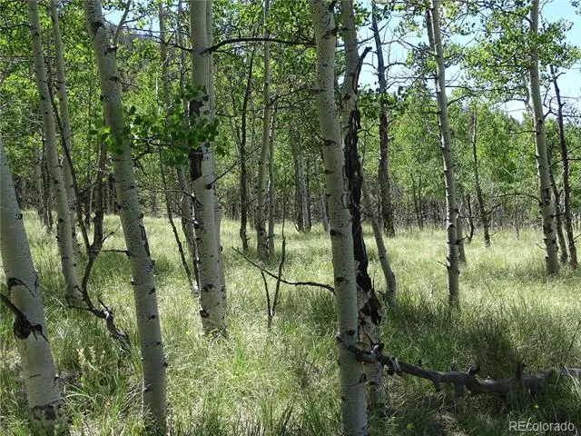 782 Bowstring Road Como, CO 80432