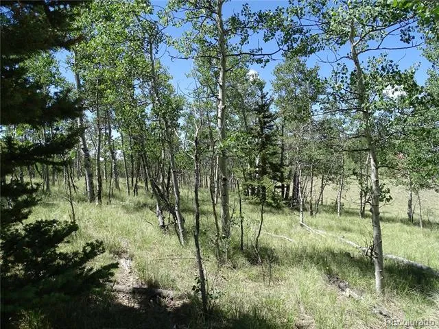 782 Bowstring Road Como, CO 80432