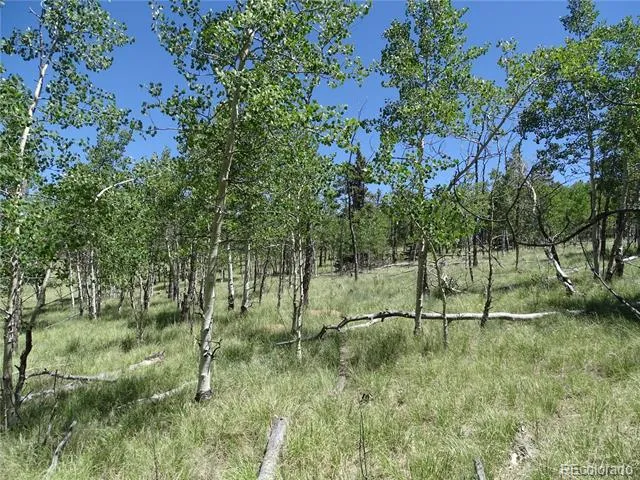 782 Bowstring Road Como, CO 80432