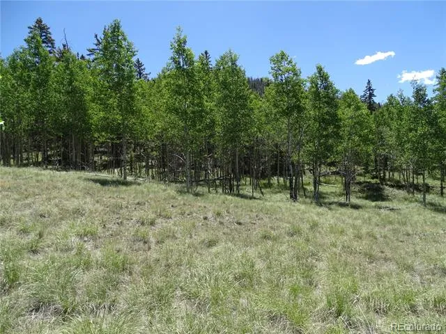 782 Bowstring Road Como, CO 80432