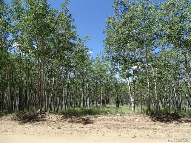 782 Bowstring Road Como, CO 80432
