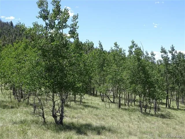 782 Bowstring Road Como, CO 80432