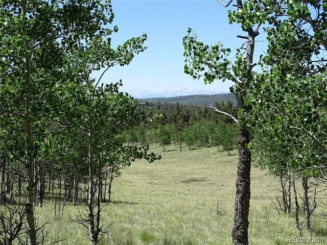 782 Bowstring Road Como, CO 80432