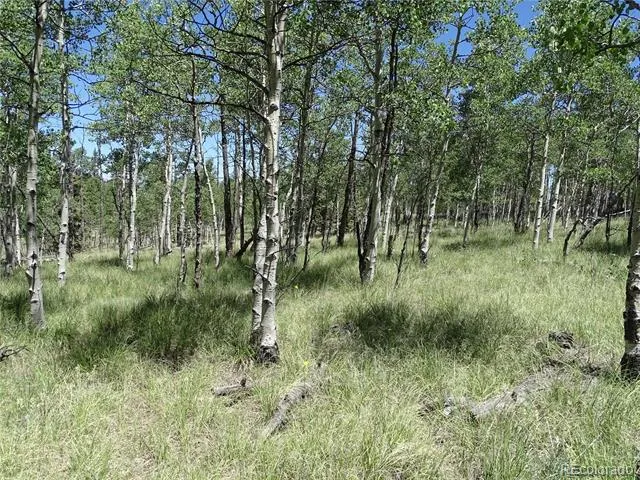 782 Bowstring Road Como, CO 80432