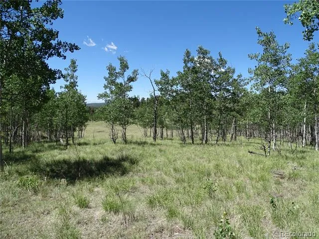 782 Bowstring Road Como, CO 80432