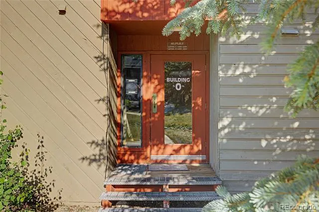 100 Wild Irishman Road #1109 Dillon, CO 80435