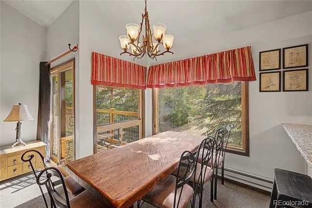 100 Wild Irishman Road #1109 Dillon, CO 80435