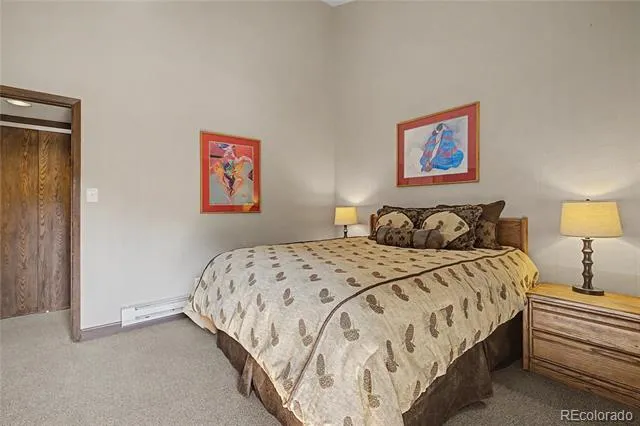 100 Wild Irishman Road #1109 Dillon, CO 80435