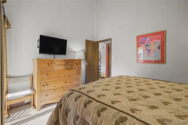 100 Wild Irishman Road #1109 Dillon, CO 80435
