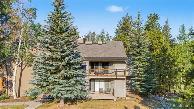 100 Wild Irishman Road #1109 Dillon, CO 80435