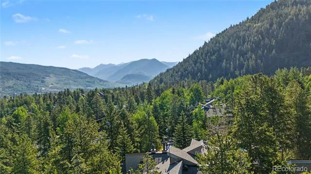 100 Wild Irishman Road #1109 Dillon, CO 80435