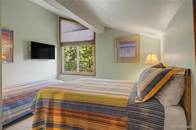 100 Wild Irishman Road #1109 Dillon, CO 80435