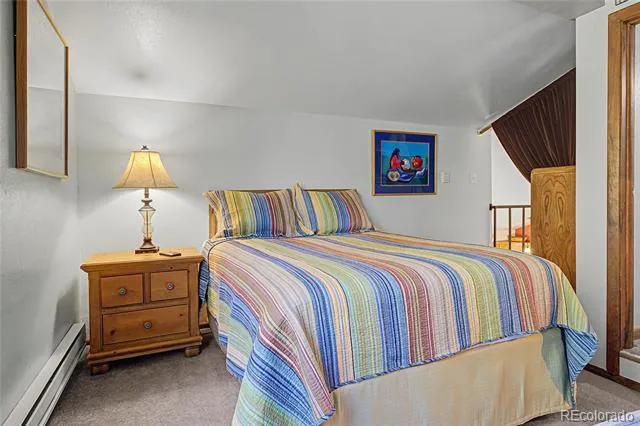 100 Wild Irishman Road #1109 Dillon, CO 80435