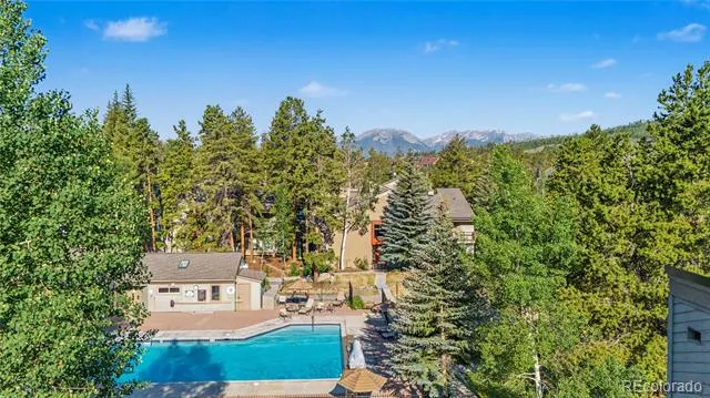 100 Wild Irishman Road #1109 Dillon, CO 80435