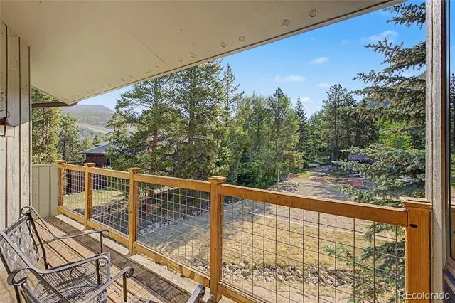 100 Wild Irishman Road #1109 Dillon, CO 80435