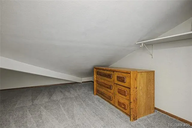 100 Wild Irishman Road #1109 Dillon, CO 80435