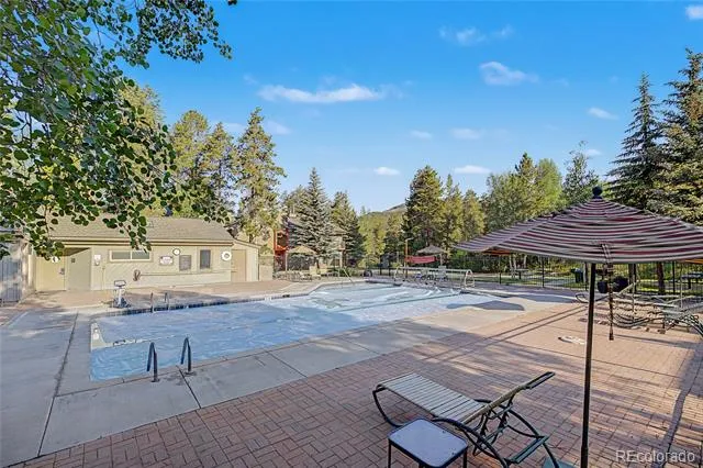 100 Wild Irishman Road #1109 Dillon, CO 80435
