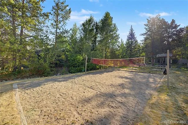 100 Wild Irishman Road #1109 Dillon, CO 80435