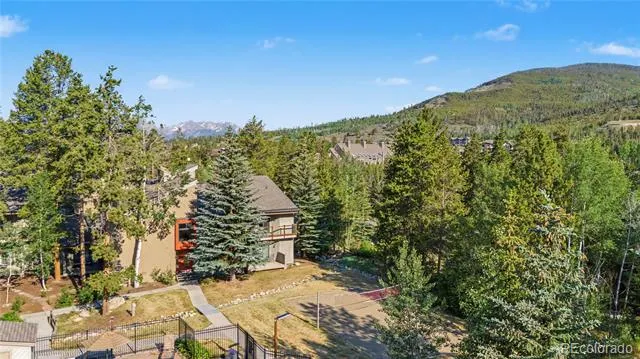 100 Wild Irishman Road #1109 Dillon, CO 80435