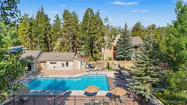 100 Wild Irishman Road #1109 Dillon, CO 80435