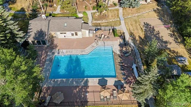 100 Wild Irishman Road #1109 Dillon, CO 80435