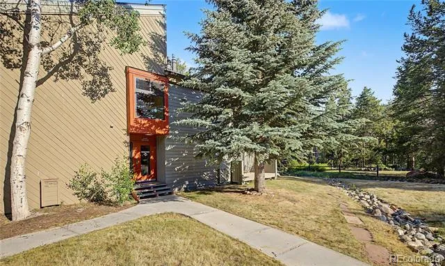 100 Wild Irishman Road #1109 Dillon, CO 80435
