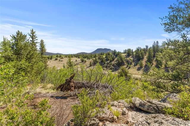 4588 Remington Road Jefferson, CO 80456