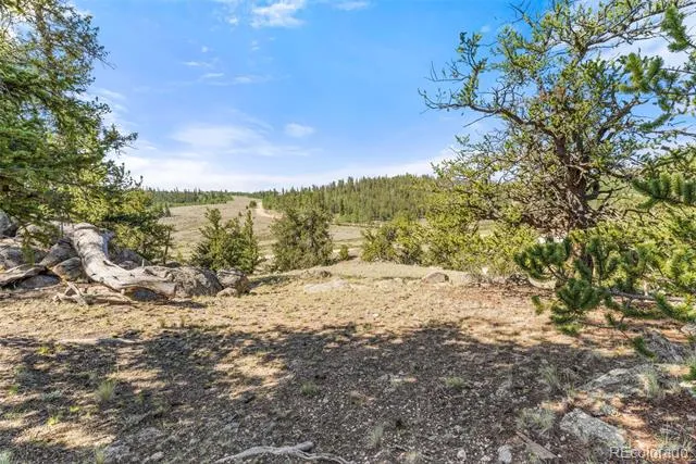 4588 Remington Road Jefferson, CO 80456