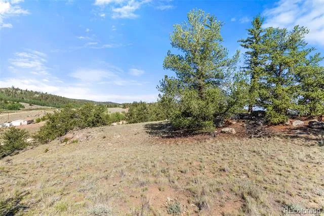 4588 Remington Road Jefferson, CO 80456