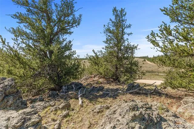 4588 Remington Road Jefferson, CO 80456