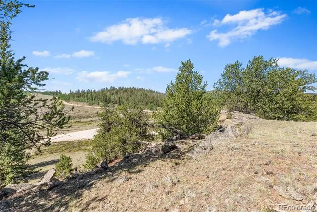 4588 Remington Road Jefferson, CO 80456