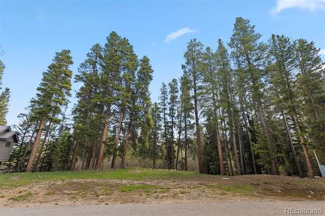 28 Tall Pines Drive Breckenridge, CO 80424